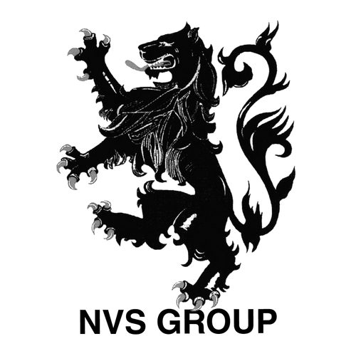 NVS GROUP